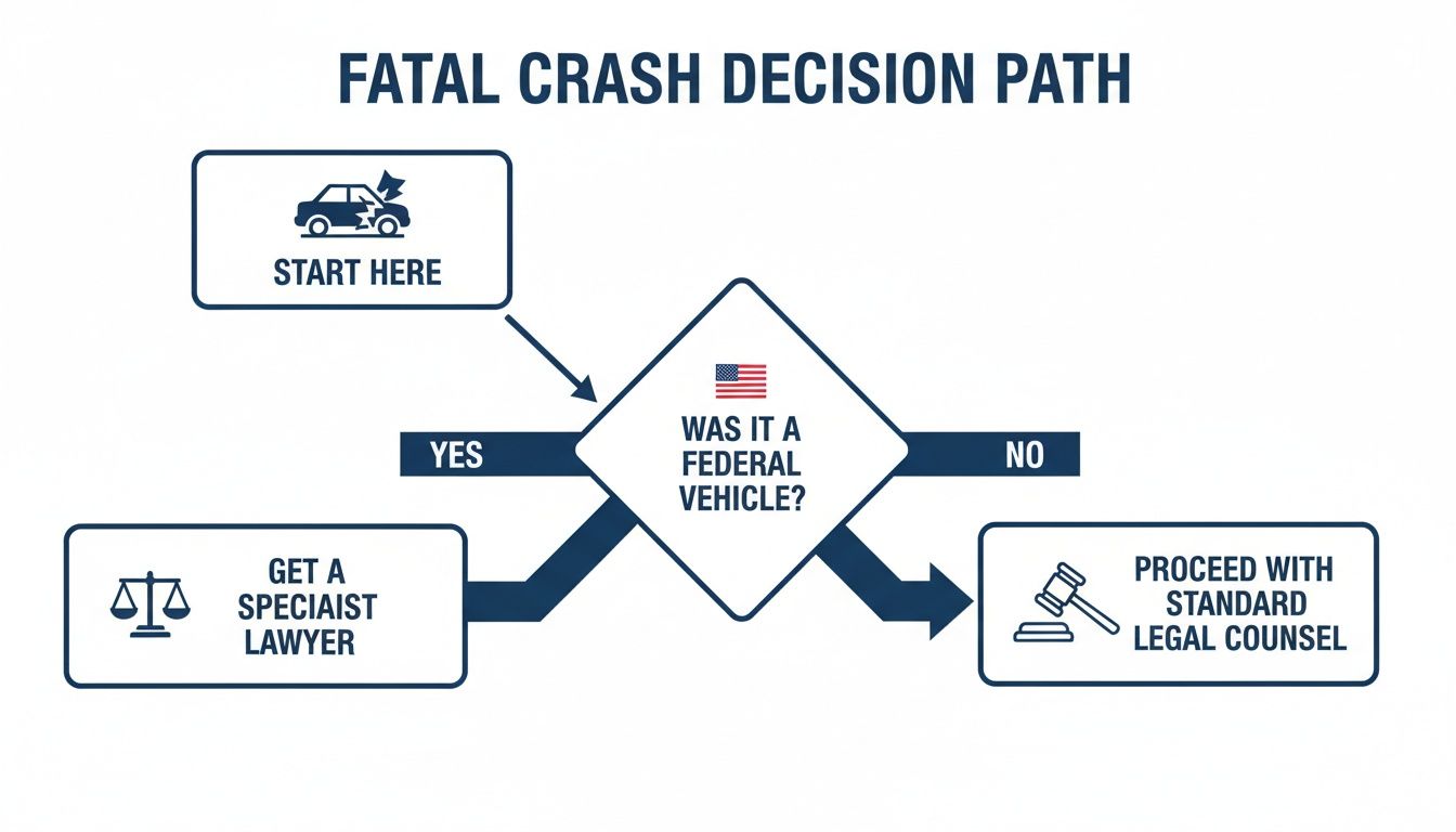 Flowchart outlining the legal decision path after a fatal car crash, distinguishing federal vehicles.